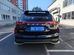 Haval Chitu Jingxiang Edition 1.5T Purple Copper Rabbit - ფოტო 11