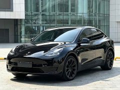 Tesla Model Y Rear-Wheel Drive - ფოტო 1