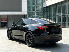 Tesla Model Y Rear-Wheel Drive - ფოტო 10
