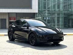 Tesla Model Y Rear-Wheel Drive - ფოტო 3