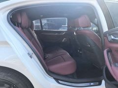 BMW 5 Series Facelift 530Li Luxury M Sport Package - ფოტო 15
