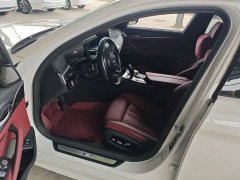 BMW 5 Series Facelift 530Li M Sport Luxury - ფოტო 9
