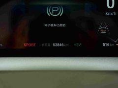 Denza BYD Denza D9 2022 DM-i 970 AWD Premium Edition - ფოტო 10