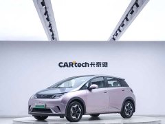 BYD Dolphin 405km Fashion Edition - ფოტო 1