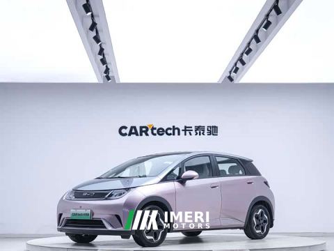 2022 BYD Dolphin 405km Fashion Edition