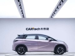 BYD Dolphin 405km Fashion Edition - ფოტო 2