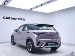 BYD Dolphin 405km Fashion Edition - ფოტო 20
