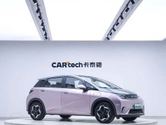 BYD Dolphin 405km Fashion Edition - ფოტო 7