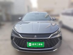 BYD Qin L DM-i 120KM Leading Edition - ფოტო 2