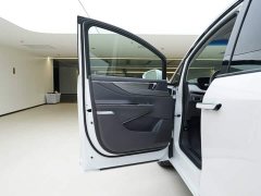 Buick GL8 Luxurious Edition Advance Enjoyment Version - ფოტო 15