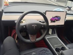 Tesla Model Y Rear-Wheel Drive - ფოტო 12