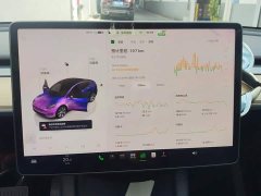 Tesla Model Y Rear-Wheel Drive - ფოტო 14