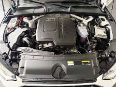 Audi A4L 200 Million Units Joyful Edition 40 TFSI Luxury Dynamic - ფოტო 13