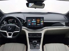 BYD Song Plus New Energy 2021 EV Premium - ფოტო 15