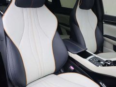 BYD Song Plus New Energy 2021 EV Premium - ფოტო 9