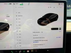 Tesla Model 3 Rear-Wheel Drive - ფოტო 18