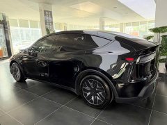 Tesla Model Y L Long Range All-Wheel Drive - ფოტო 11