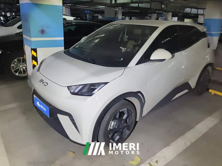BYD Seagull 305km Freedom Edition - ავტომობილი ჩინეთიდან
