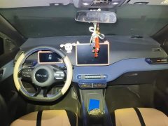 BYD Seagull 305km Freedom Edition - ფოტო 12