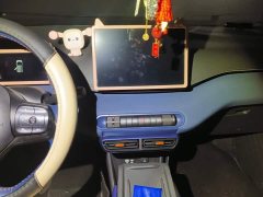 BYD Seagull 305km Freedom Edition - ფოტო 13