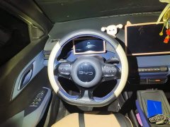 BYD Seagull 305km Freedom Edition - ფოტო 15