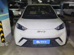 BYD Seagull 305km Freedom Edition - ფოტო 2