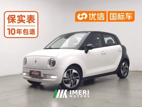 2022 ORA Black Cat 405km Long Range Ternary Lithium - ავტომობილი ჩინეთიდან