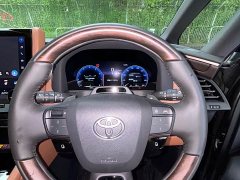 Vellfire 2.4T Automatic - ფოტო 11