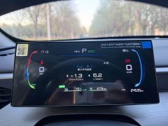 BYD Seagull 05 DM-i Smart Drive Edition 55KM Luxury - ფოტო 9