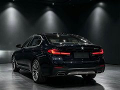 BMW 5 Series 530Li Premier M Sport Package - ფოტო 5