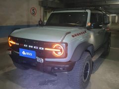 Ford Mustang 2.3T Wilderness - ფოტო 1