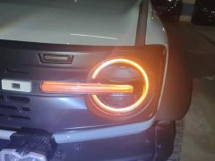 Ford Mustang 2.3T Wilderness - ფოტო 5