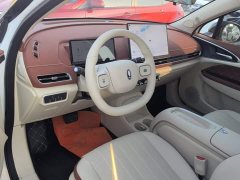 ORA Good Cat 430km Luxury - ფოტო 12