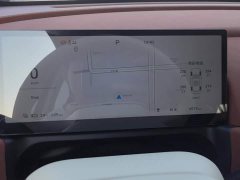 ORA Good Cat 430km Luxury - ფოტო 14