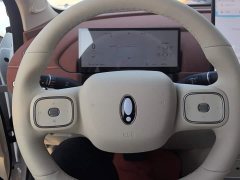 ORA Good Cat 430km Luxury - ფოტო 15
