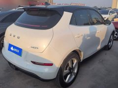 ORA Good Cat 430km Luxury - ფოტო 3
