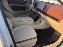 ORA Good Cat 430km Luxury - ფოტო 8