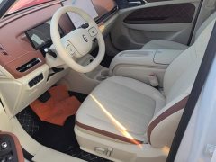 ORA Good Cat 430km Luxury - ფოტო 9