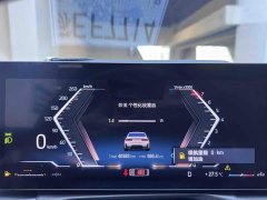 BMW 3 Series 320Li M Sport Package - ფოტო 12
