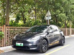 Tesla Model Y Rear-Wheel Drive - ფოტო 1