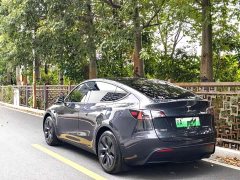 Tesla Model Y Rear-Wheel Drive - ფოტო 12