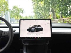 Tesla Model Y Rear-Wheel Drive - ფოტო 15
