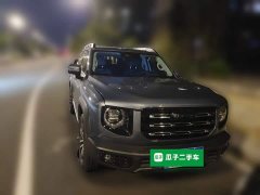 Great Wall Dachshund 2022 2.0T DCT Two-Wheel Drive Chinese Hunting Dog Edition - ფოტო 2
