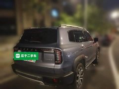 Great Wall Dachshund 2022 2.0T DCT Two-Wheel Drive Chinese Hunting Dog Edition - ფოტო 4