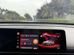 Trumpchi Leopard 270T DCT J16 R-style Track Edition - ფოტო 8