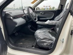 Dongfeng Nanotech 01 Cherished Edition 330 Ultra - ფოტო 13