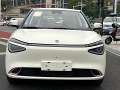 Dongfeng Nanotech 01 Cherished Edition 330 Ultra - ფოტო 2