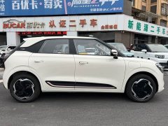 Dongfeng Nanotech 01 Cherished Edition 330 Ultra - ფოტო 3
