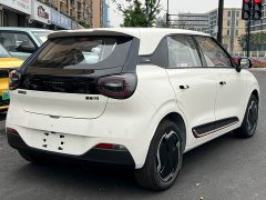 Dongfeng Nanotech 01 Cherished Edition 330 Ultra - ფოტო 4
