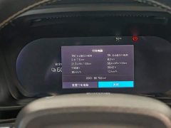 Volvo XC40 New Energy P8 Pure Electric AWD Smart Elegant Sport Edition - ფოტო 17
